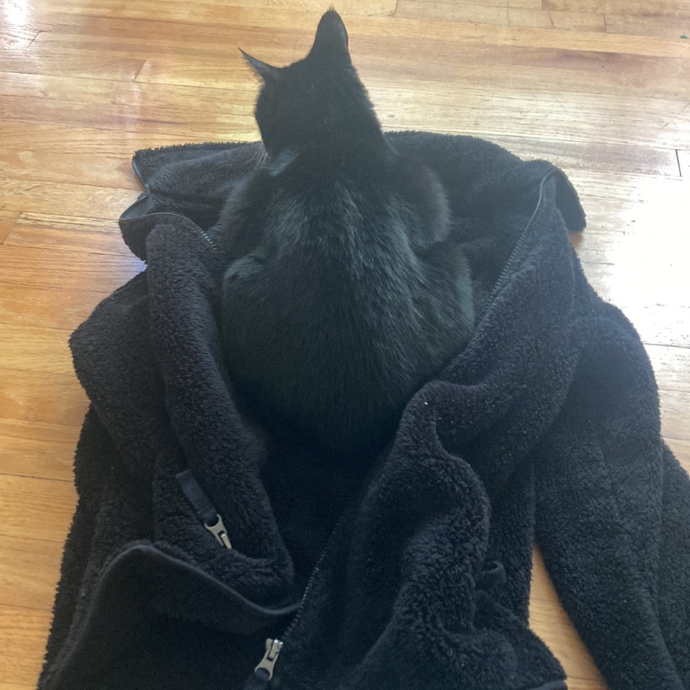 Weatherproof Jacket - image 2